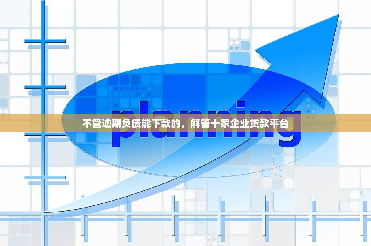 不管逾期负债能下款的，解答十家企业贷款平台