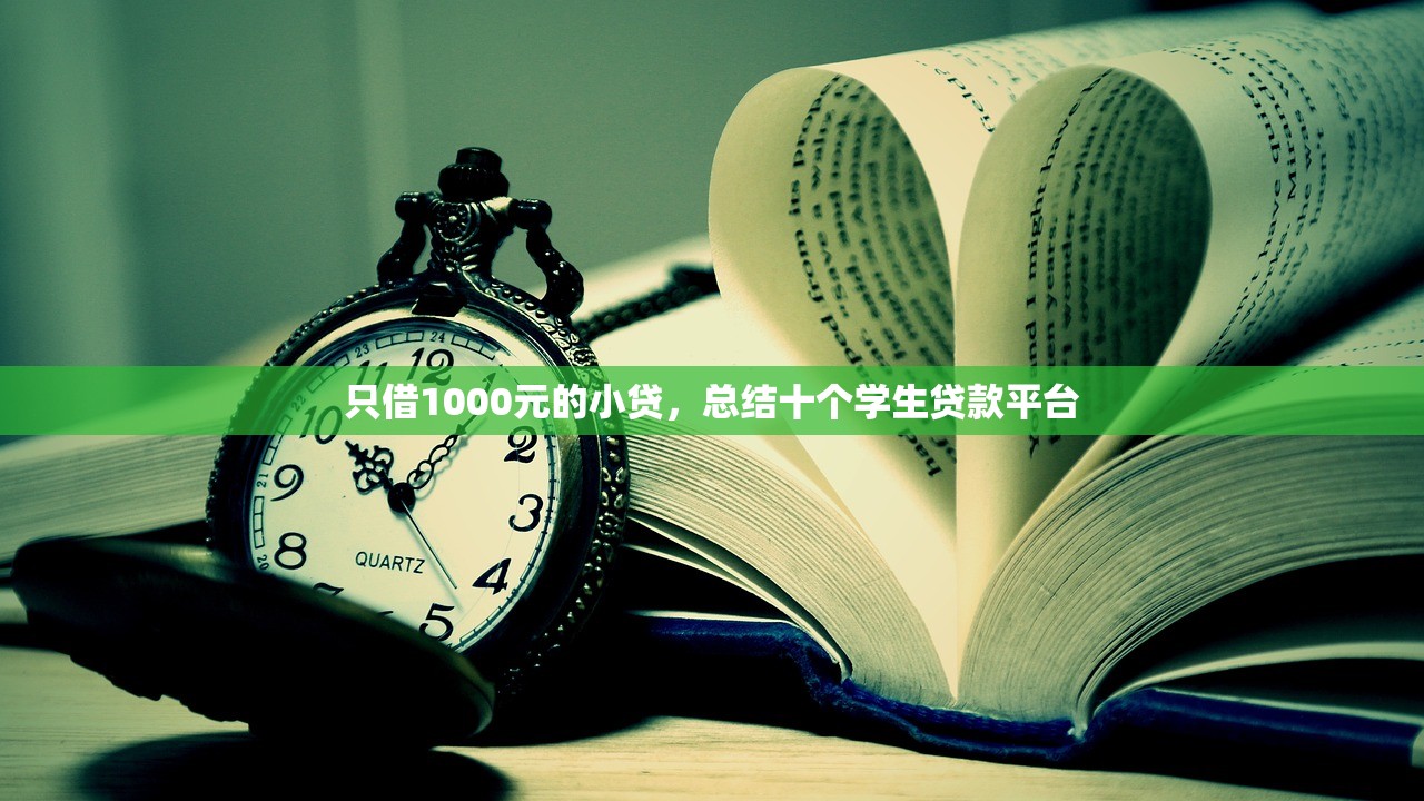 只借1000元的小贷，总结十个学生贷款平台