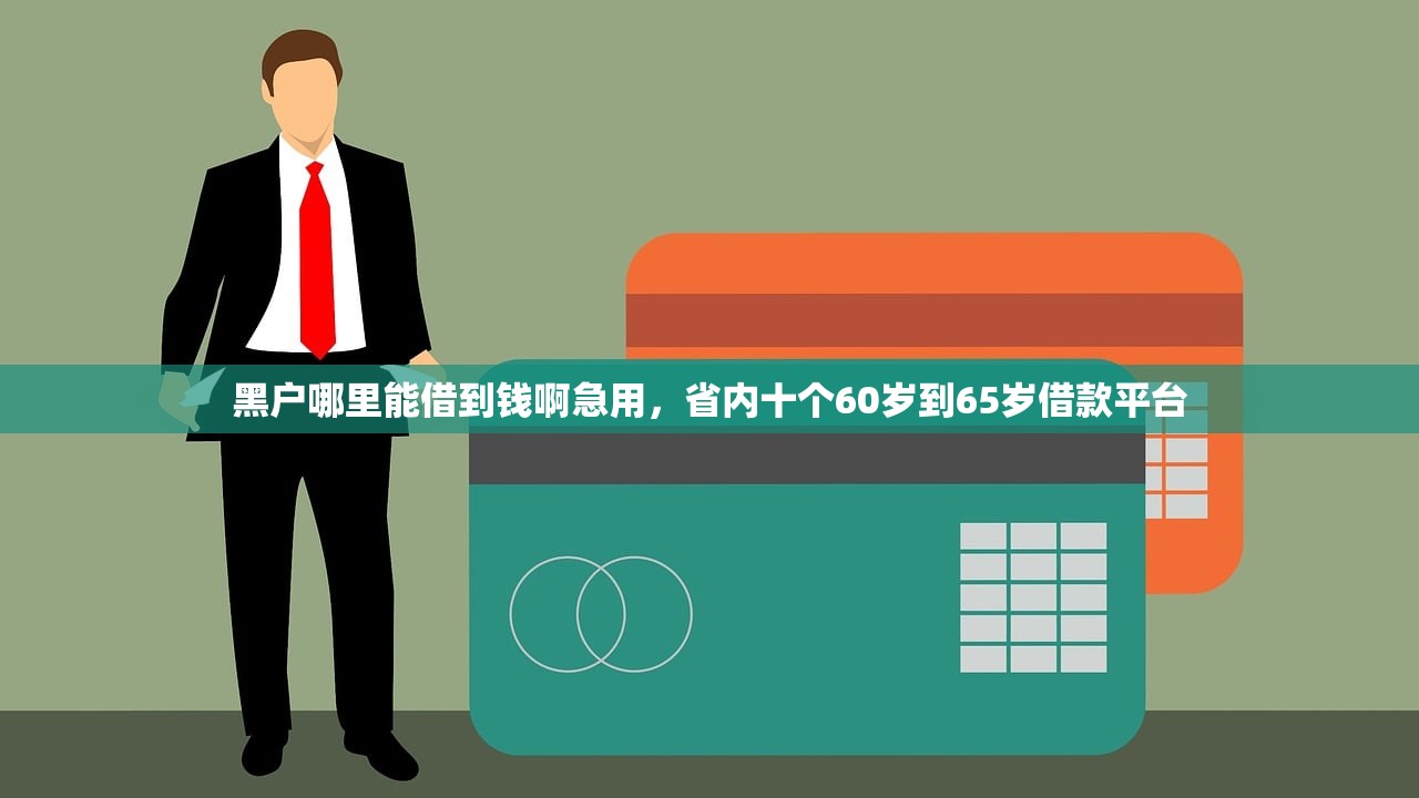 黑户哪里能借到钱啊急用，省内十个60岁到65岁借款平台