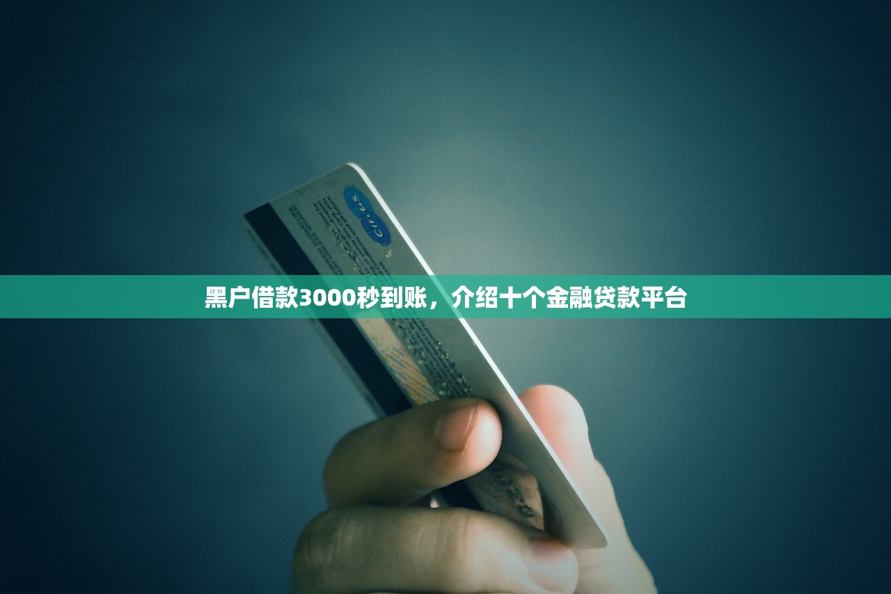 黑户借款3000秒到账，介绍十个金融贷款平台