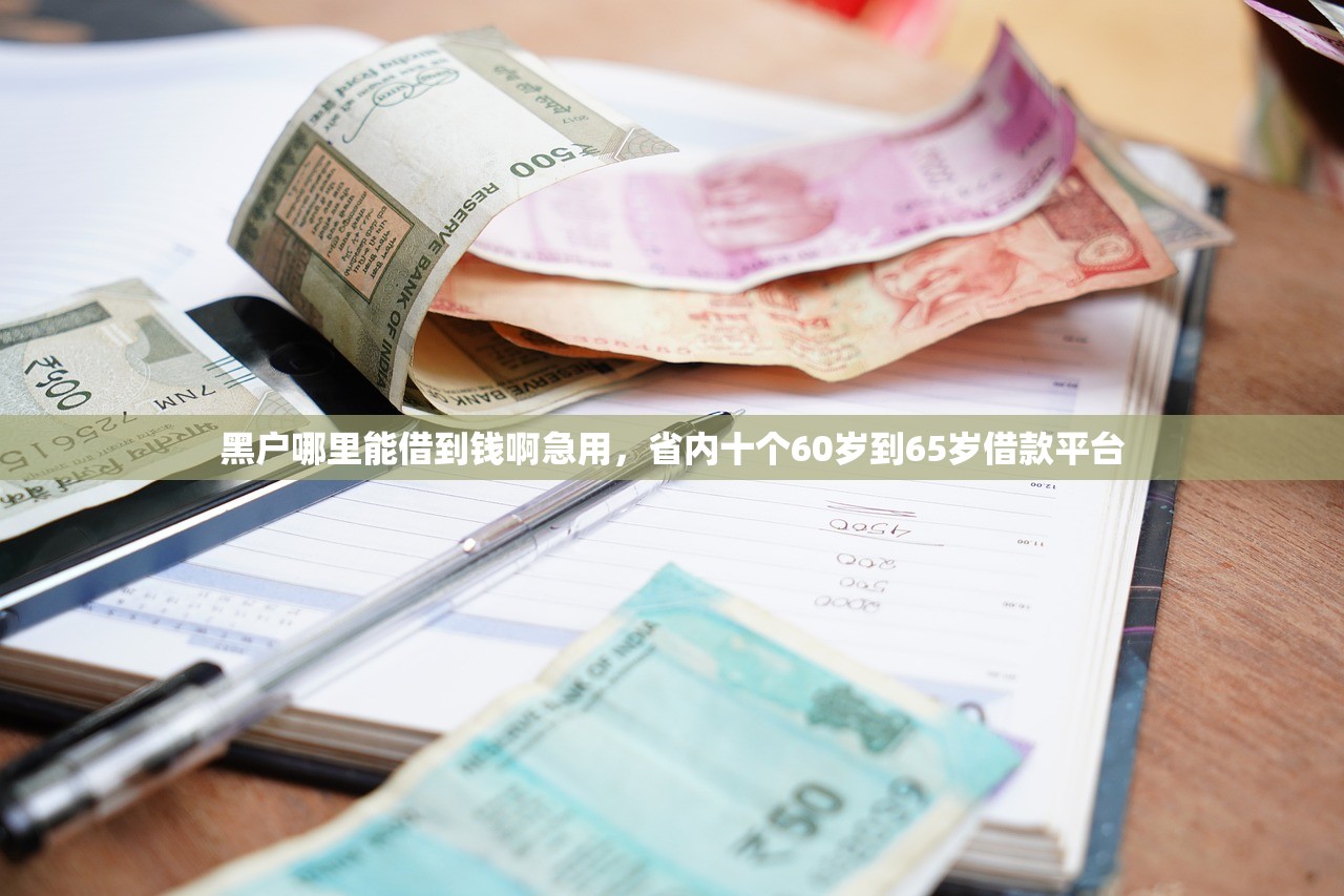 黑户哪里能借到钱啊急用，省内十个60岁到65岁借款平台