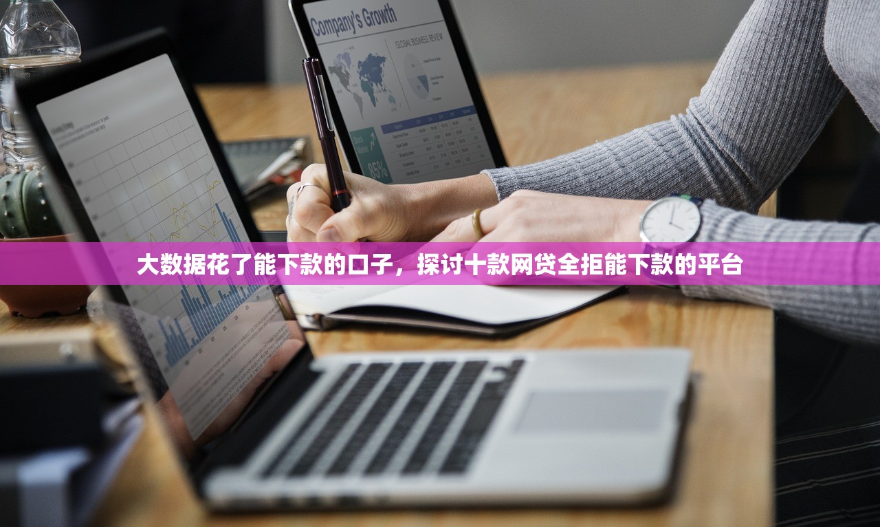 大数据花了能下款的口子，探讨十款网贷全拒能下款的平台