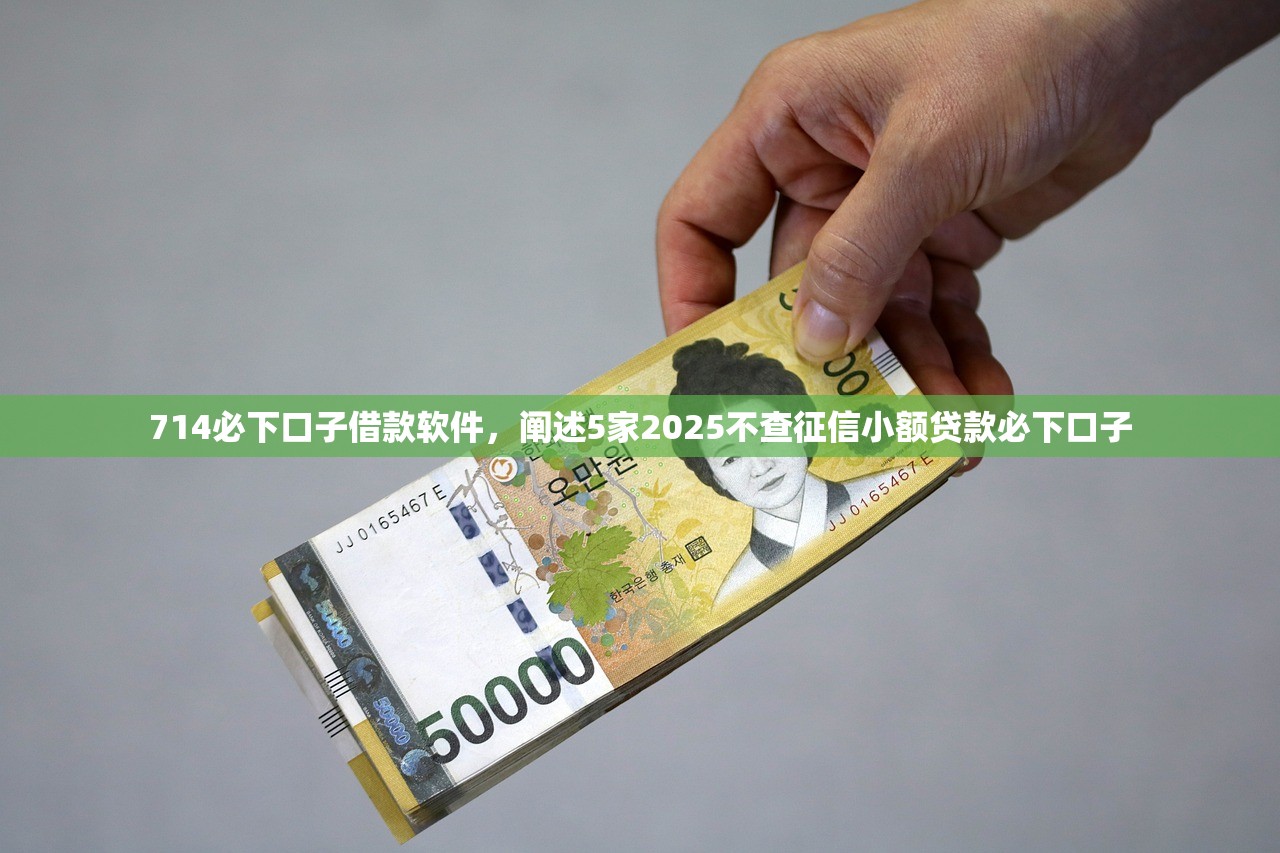 714必下口子借款软件，阐述5家2025不查征信小额贷款必下口子