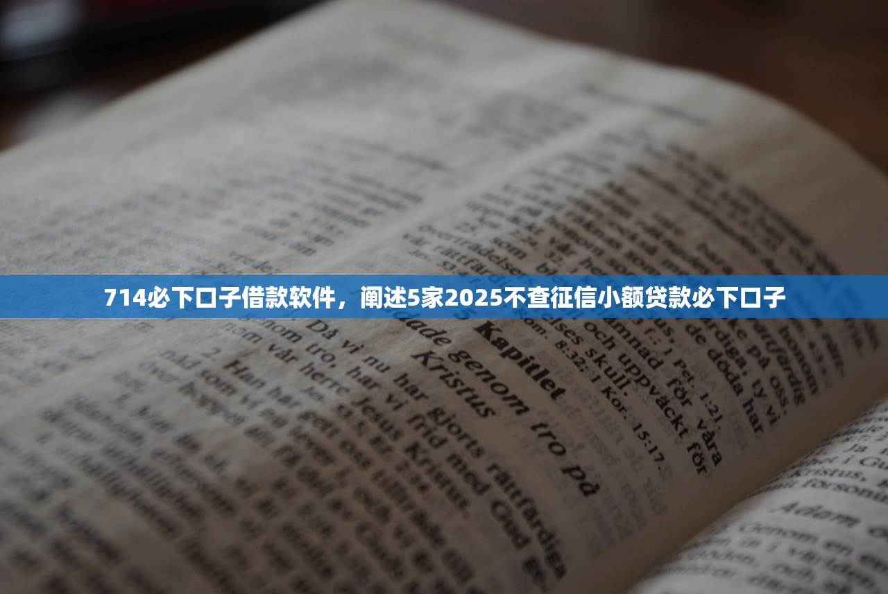 714必下口子借款软件，阐述5家2025不查征信小额贷款必下口子