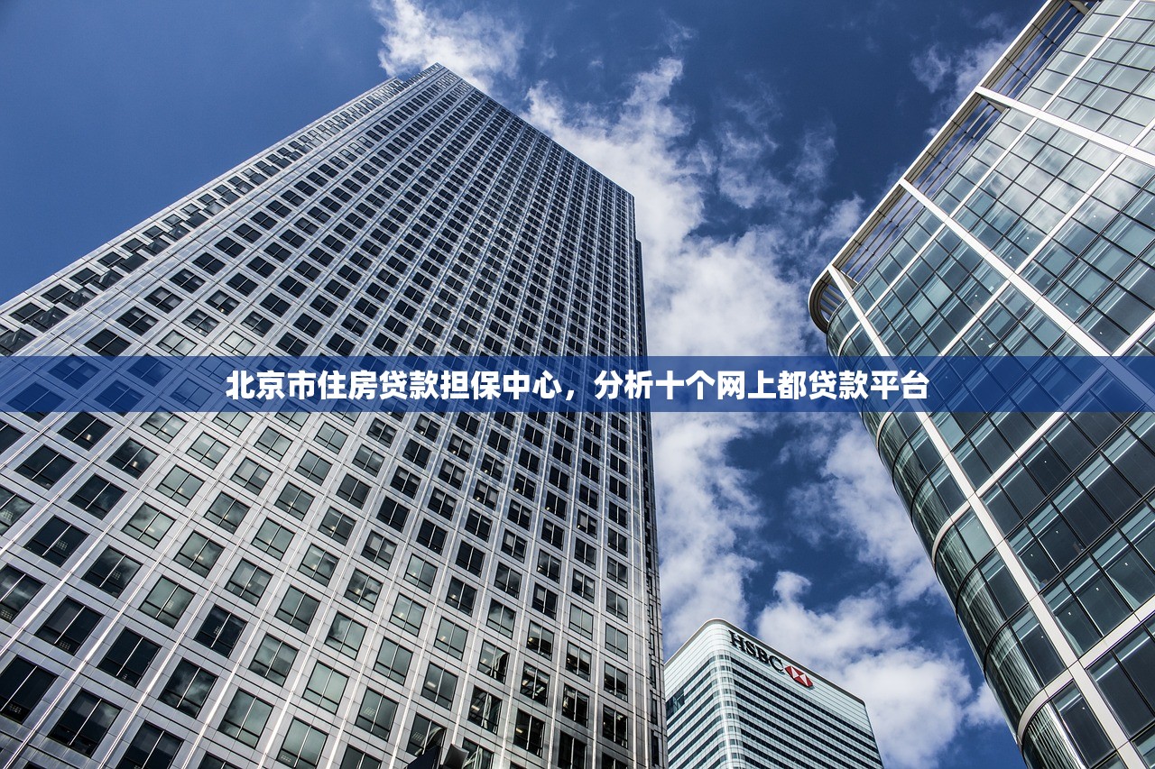 北京市住房贷款担保中心，分析十个网上都贷款平台