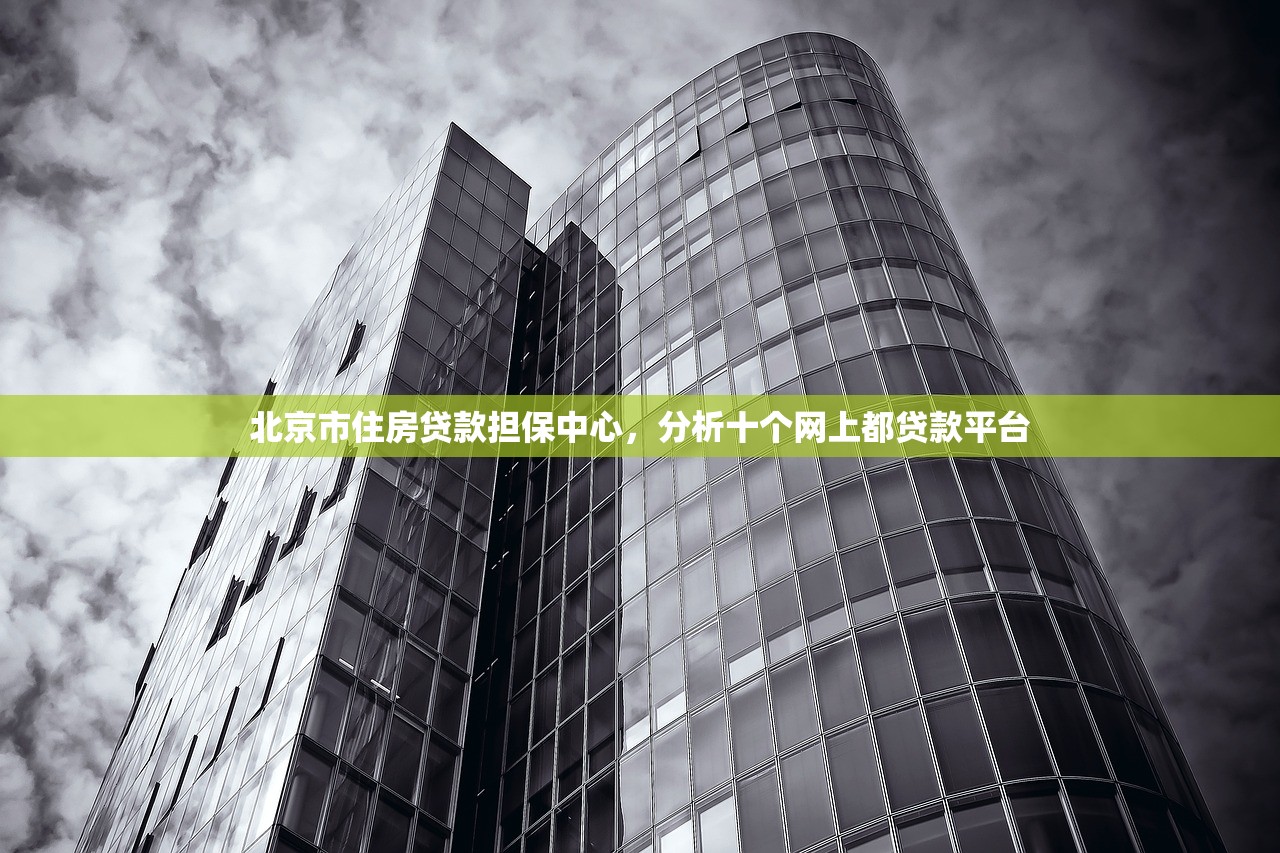 北京市住房贷款担保中心，分析十个网上都贷款平台