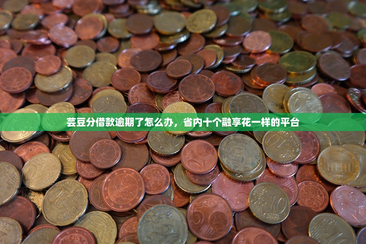 风控了哪个平台可以借钱，归纳10个贷款平台软件