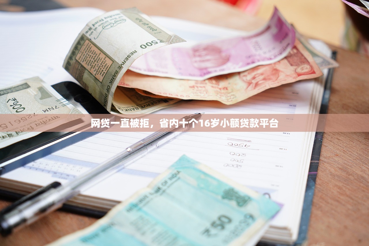 网贷一直被拒，省内十个16岁小额贷款平台