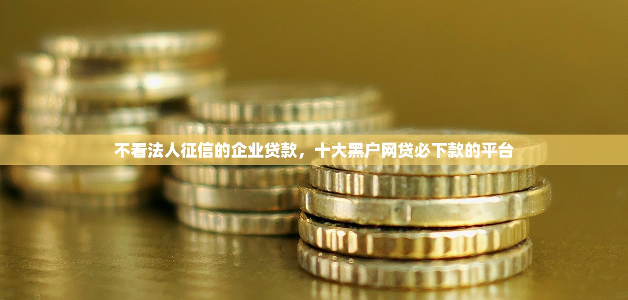 不看法人征信的企业贷款，十大黑户网贷必下款的平台
