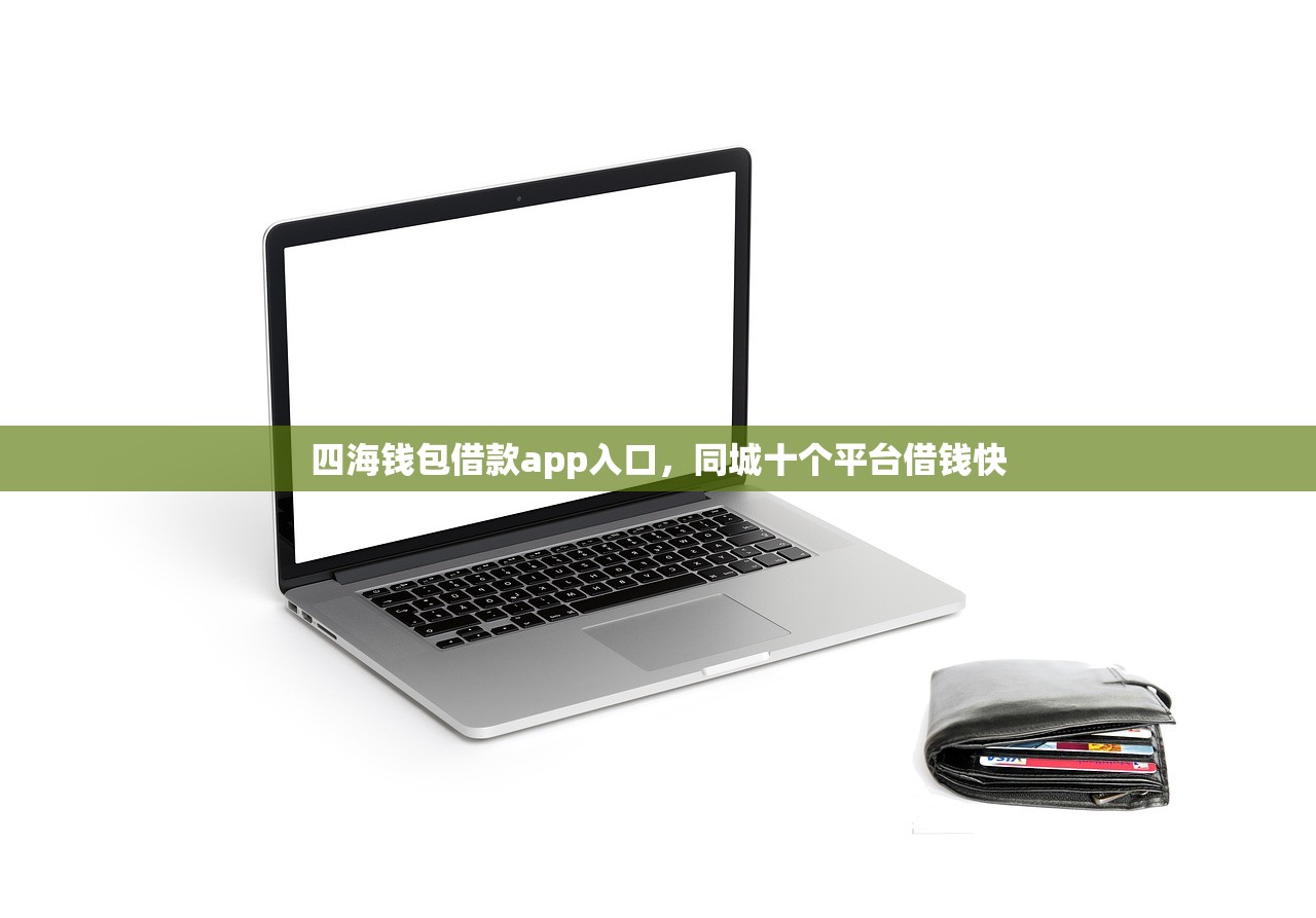 四海钱包借款app入口，同城十个平台借钱快
