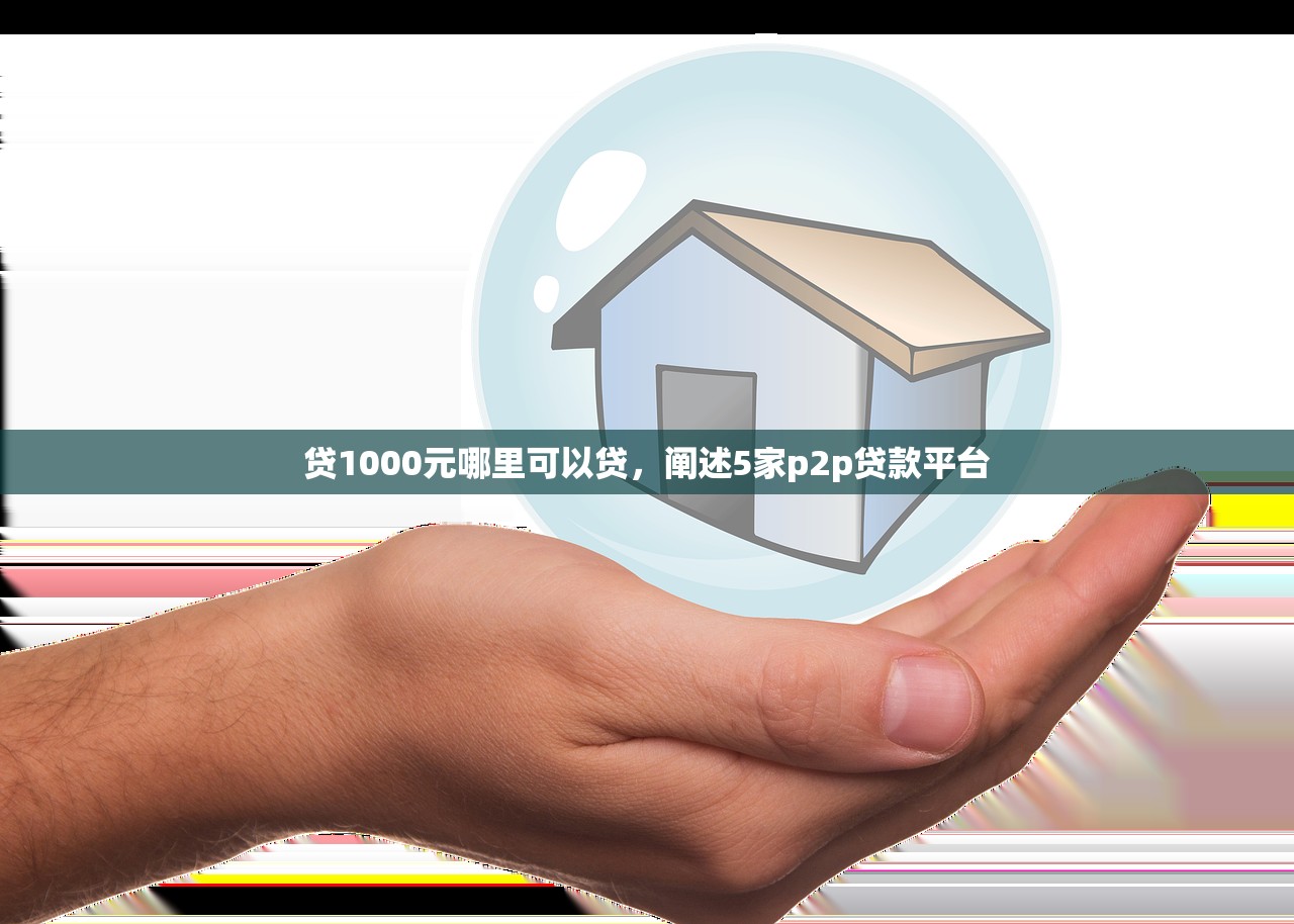 贷1000元哪里可以贷，阐述5家p2p贷款平台