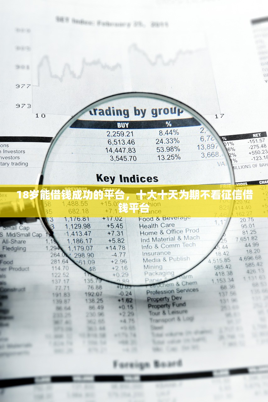 18岁能借钱成功的平台，十大十天为期不看征信借钱平台