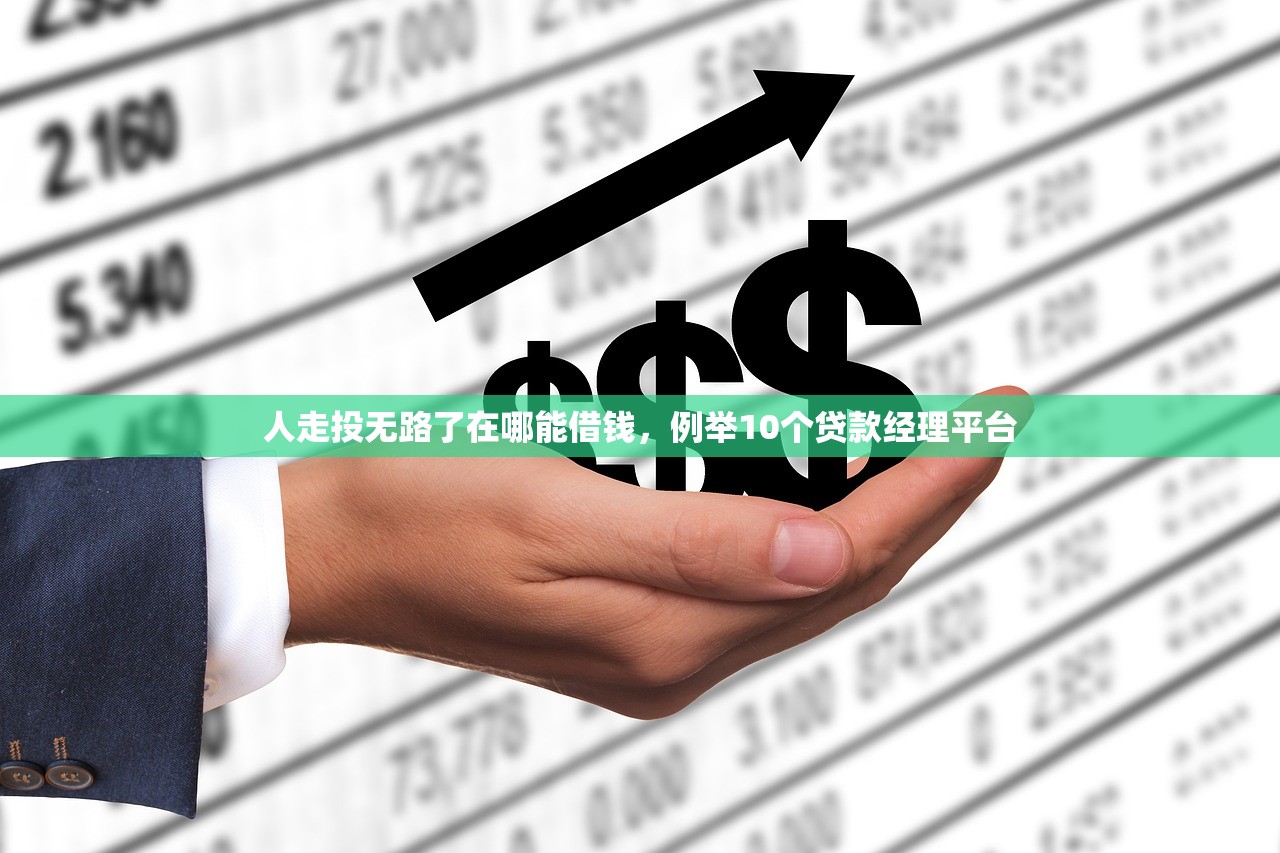 人走投无路了在哪能借钱，例举10个贷款经理平台