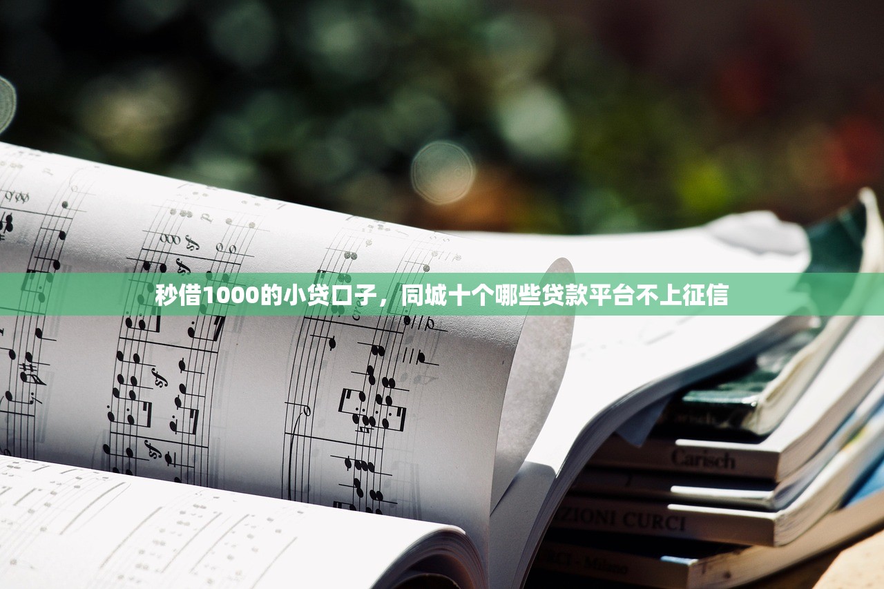 1000左右必下款的口子，整理十个黑户秒下款的高炮口子