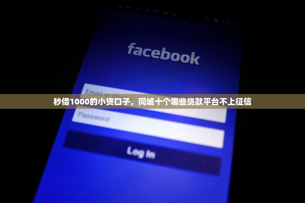 秒借1000的小贷口子，同城十个哪些贷款平台不上征信