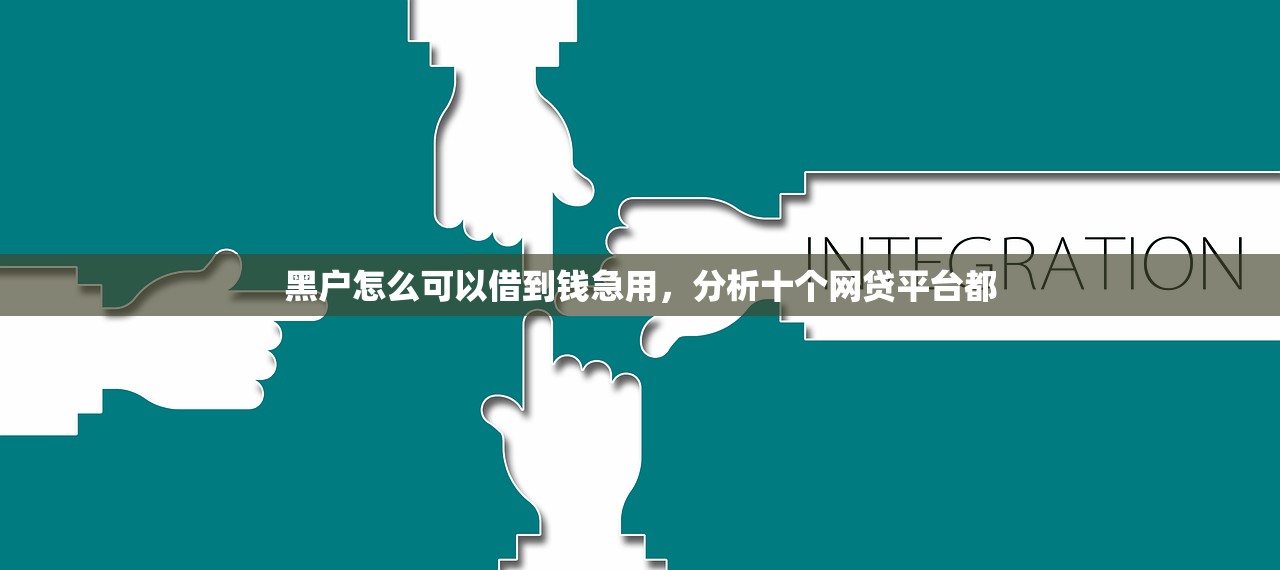 黑户怎么可以借到钱急用，分析十个网贷平台都