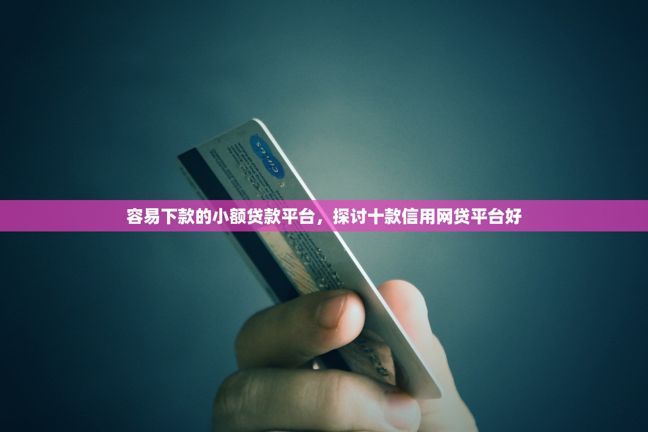 容易下款的小额贷款平台，探讨十款信用网贷平台好