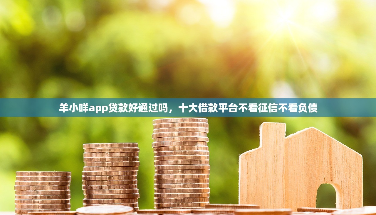羊小咩app贷款好通过吗，十大借款平台不看征信不看负债
