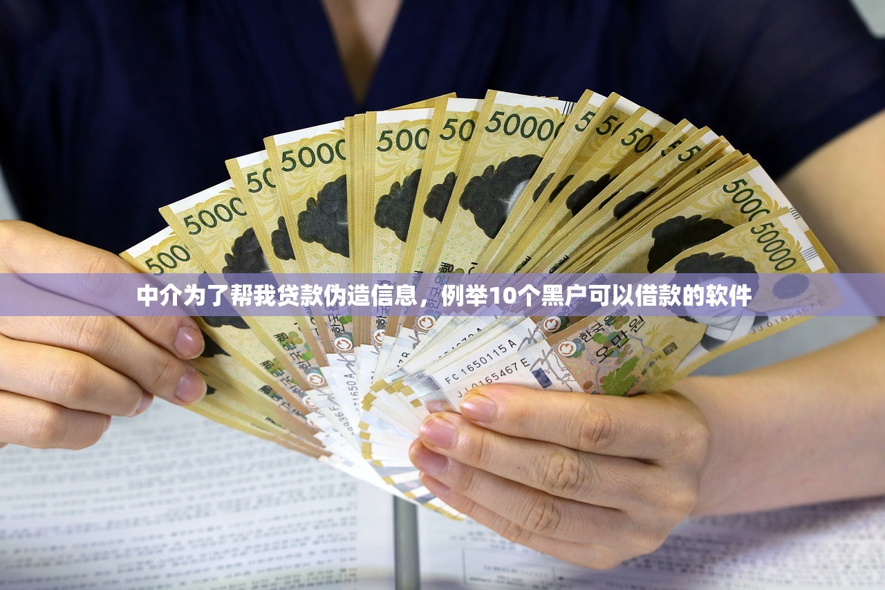 中介为了帮我贷款伪造信息，例举10个黑户可以借款的软件