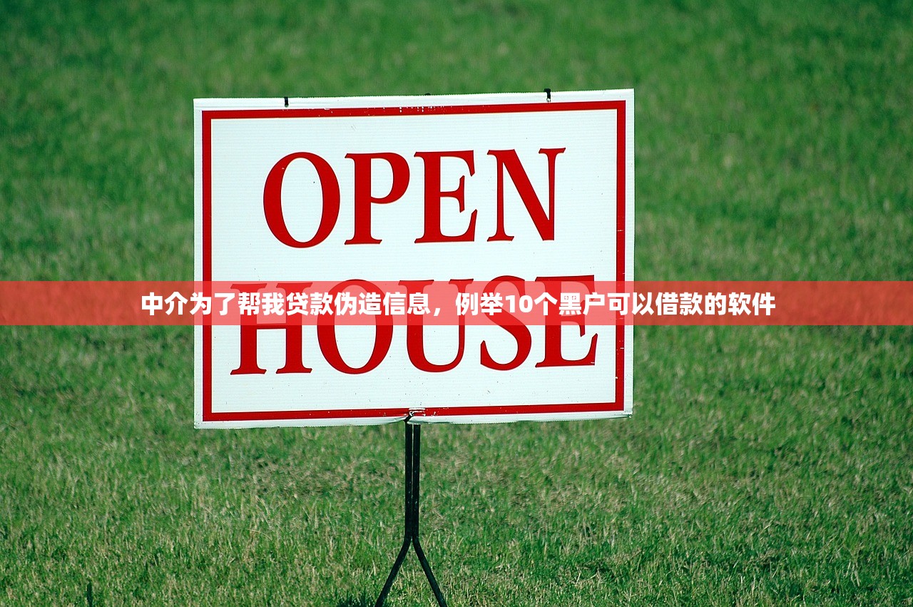 中介为了帮我贷款伪造信息，例举10个黑户可以借款的软件