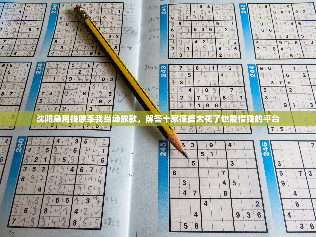 沈阳急用钱联系我当场放款，解答十家征信太花了也能借钱的平台