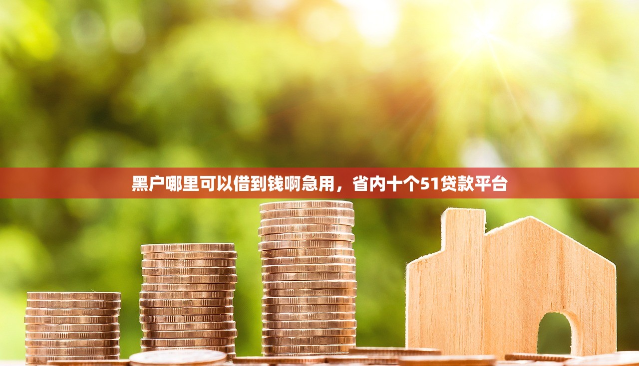 黑户哪里可以借到钱啊急用，省内十个51贷款平台