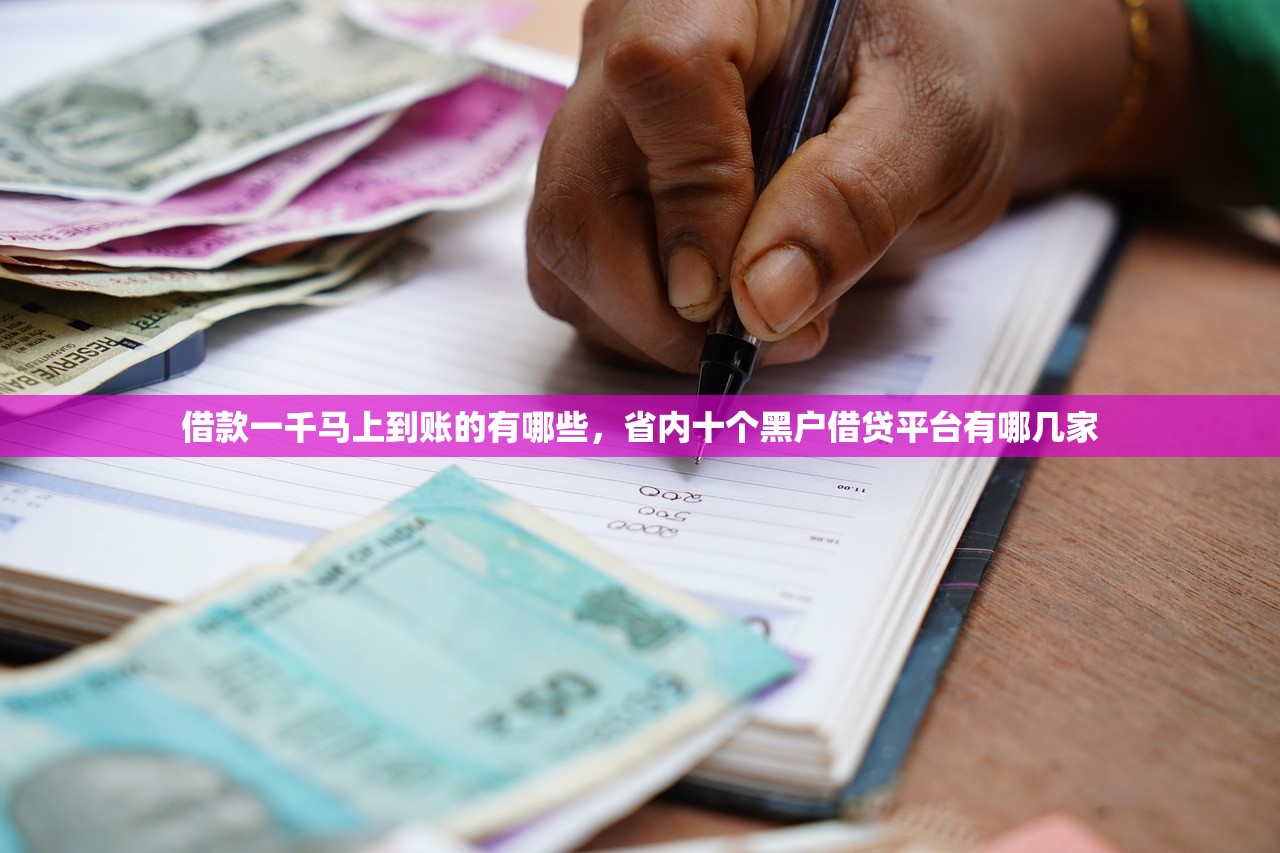 借款一千马上到账的有哪些，省内十个黑户借贷平台有哪几家