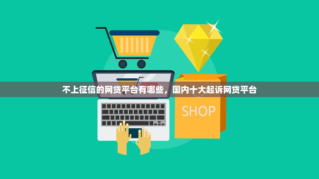 不上征信的网贷平台有哪些，国内十大起诉网贷平台