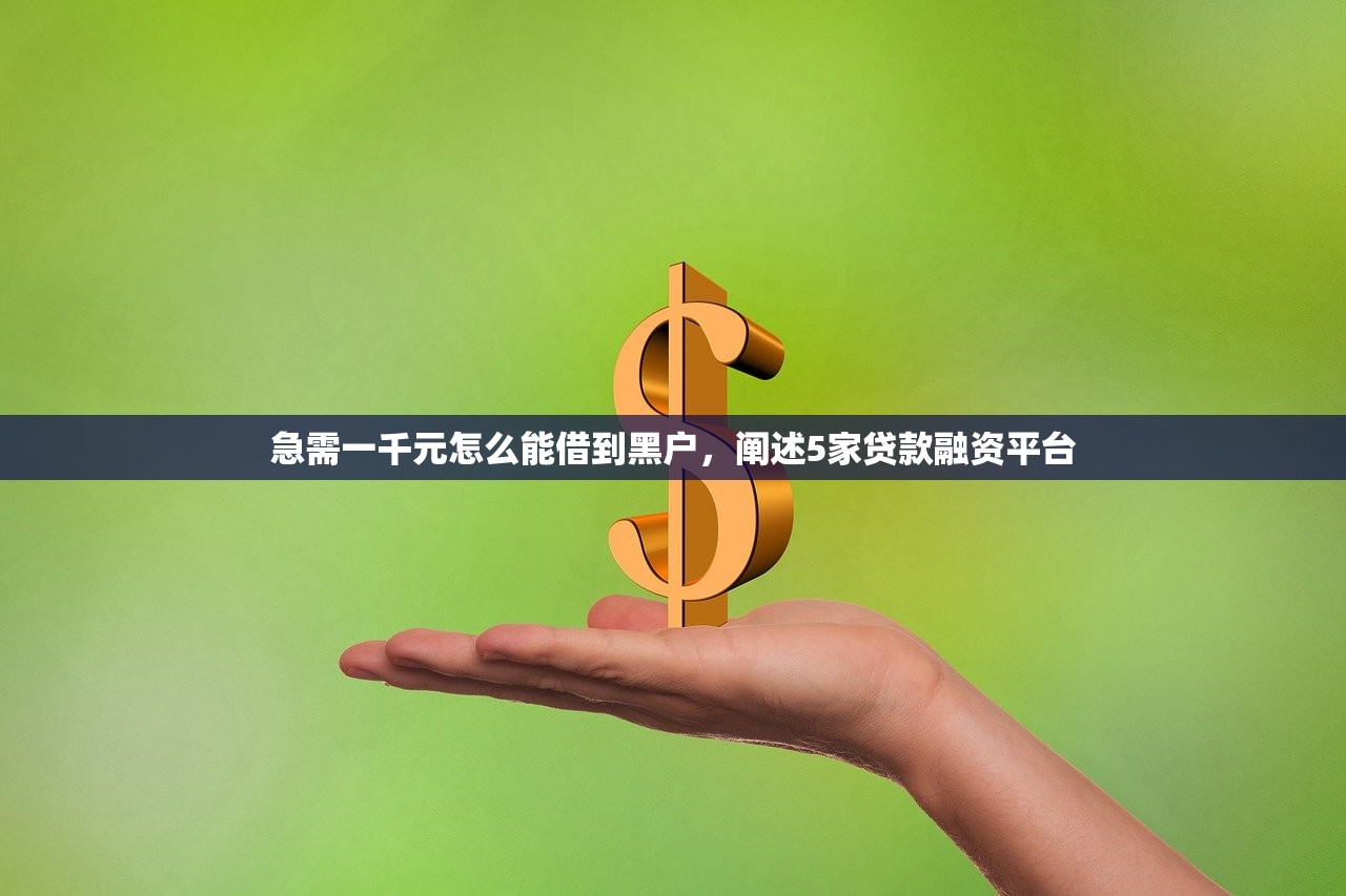 急需一千元怎么能借到黑户，阐述5家贷款融资平台