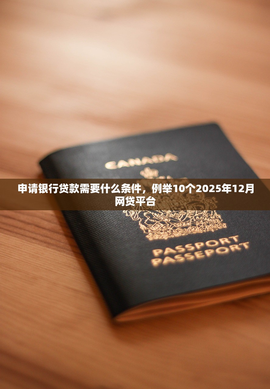 申请银行贷款需要什么条件，例举10个2025年12月网贷平台