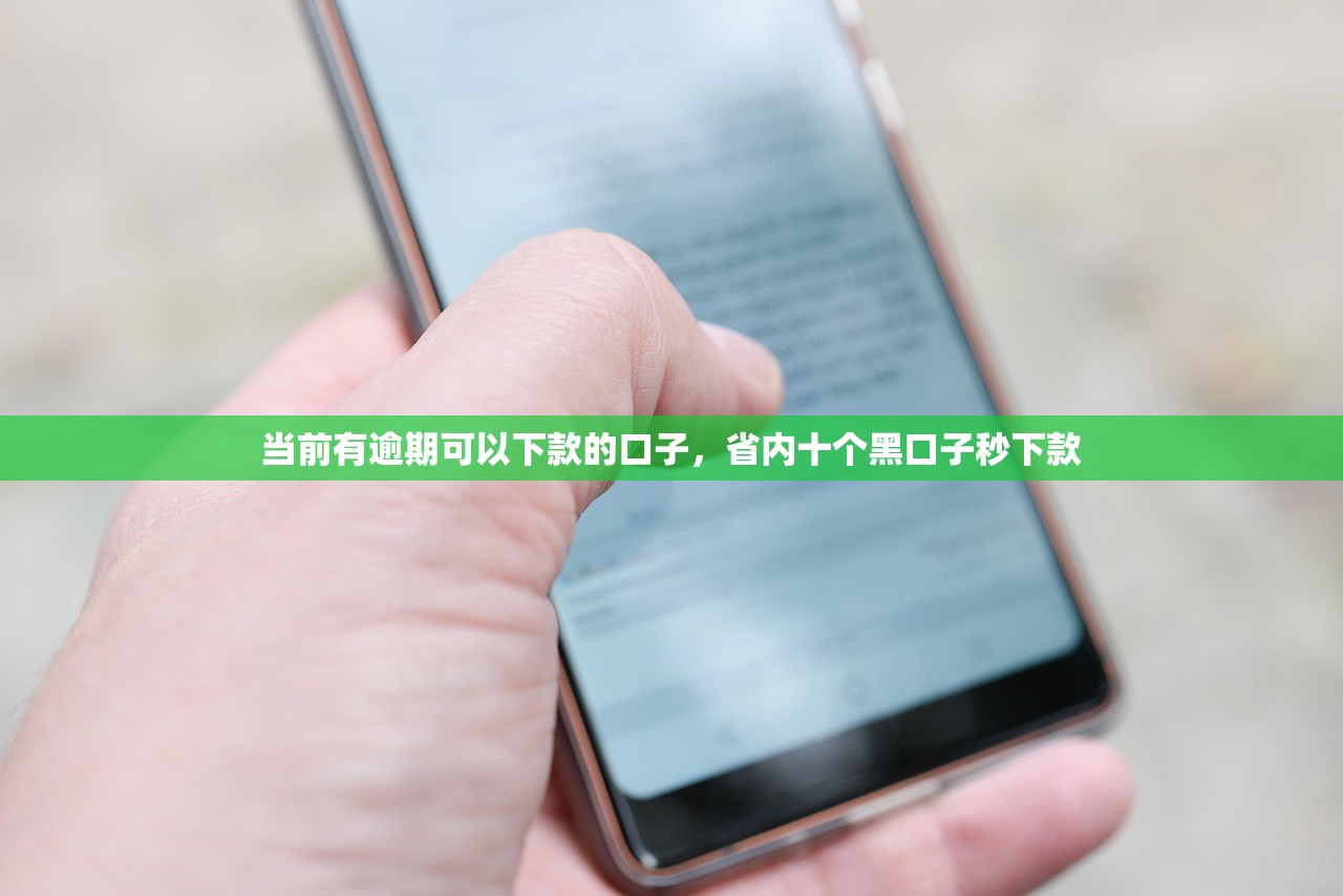 当前有逾期可以下款的口子，省内十个黑口子秒下款
