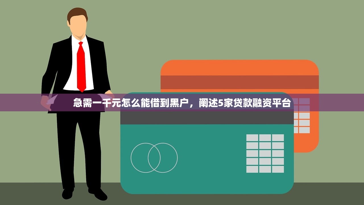 急需一千元怎么能借到黑户，阐述5家贷款融资平台