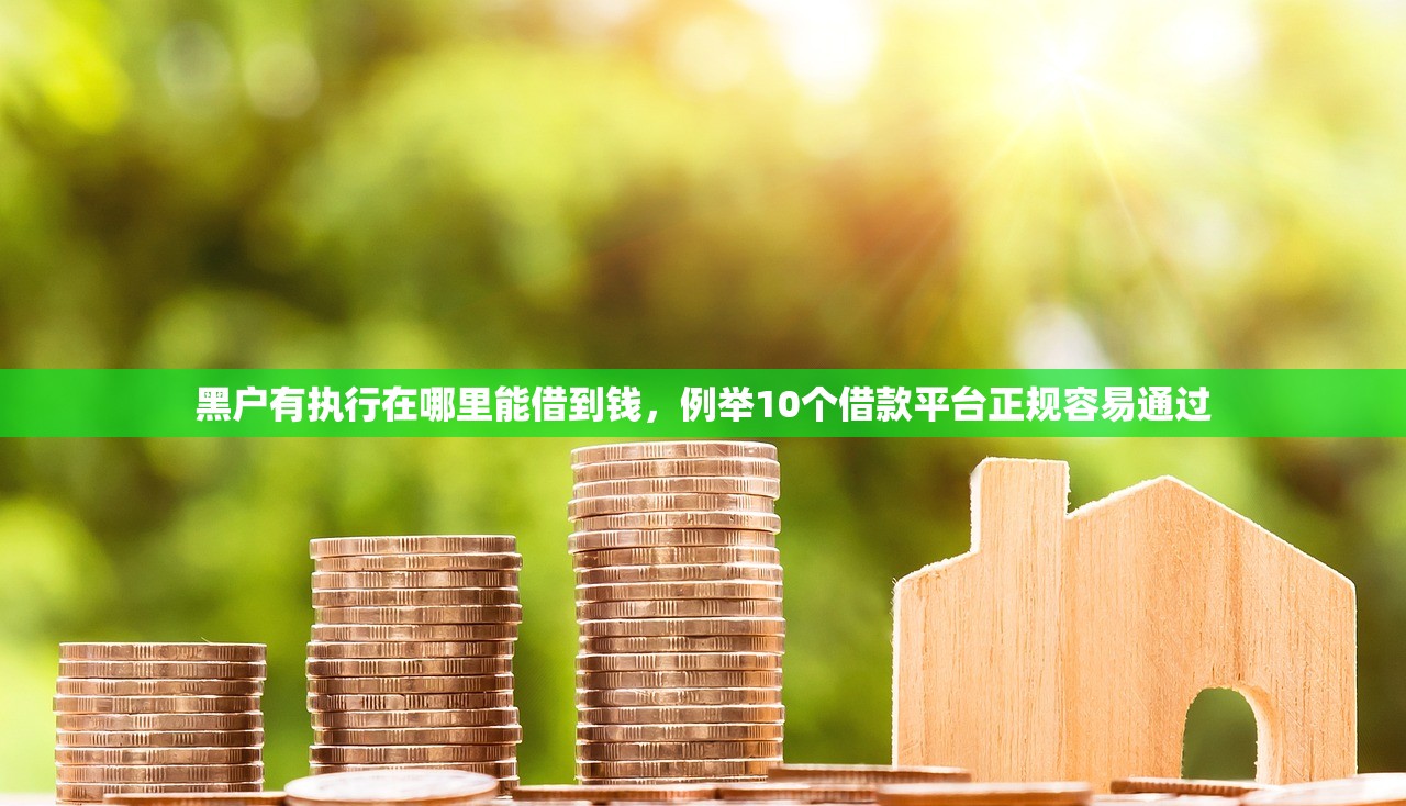 黑户有执行在哪里能借到钱，例举10个借款平台正规容易通过
