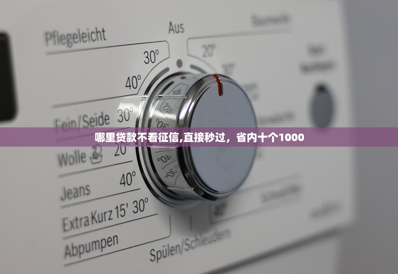 哪里贷款不看征信,直接秒过，省内十个1000