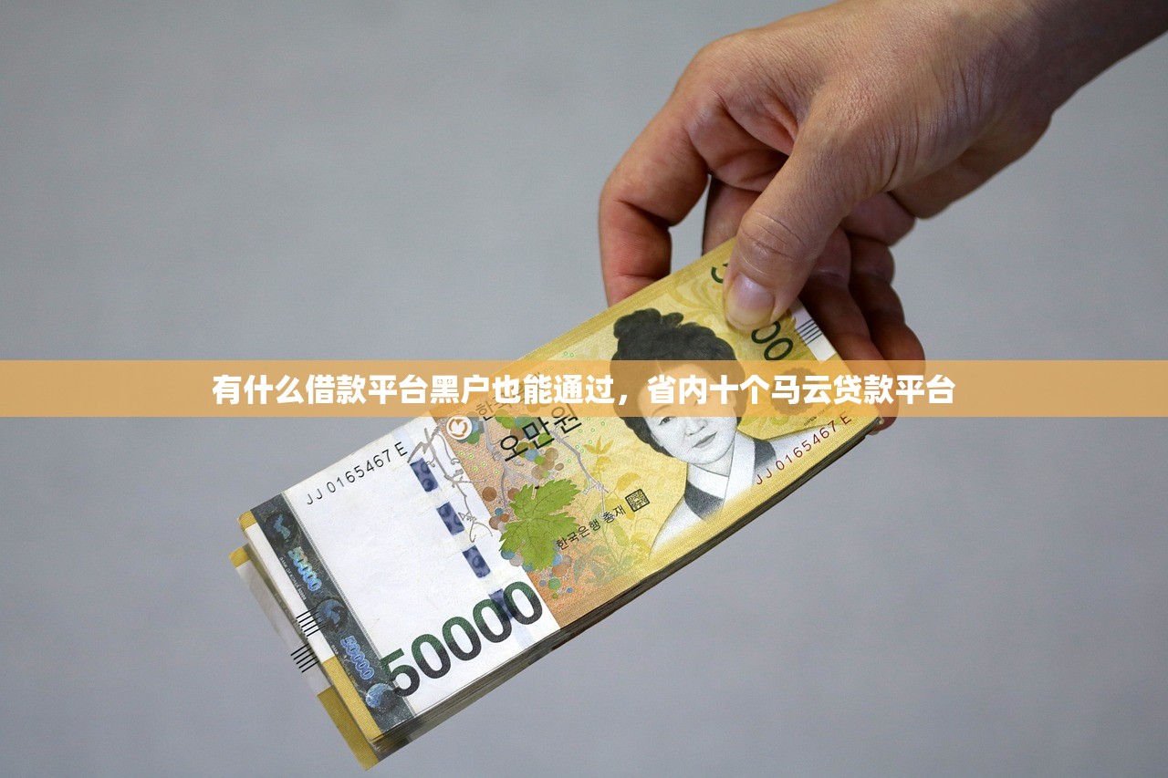 有什么借款平台黑户也能通过，省内十个马云贷款平台