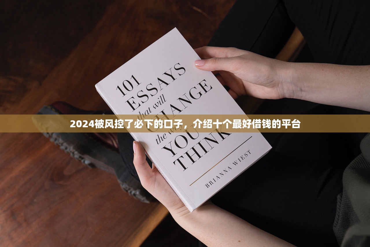 2024被风控了必下的口子，介绍十个最好借钱的平台