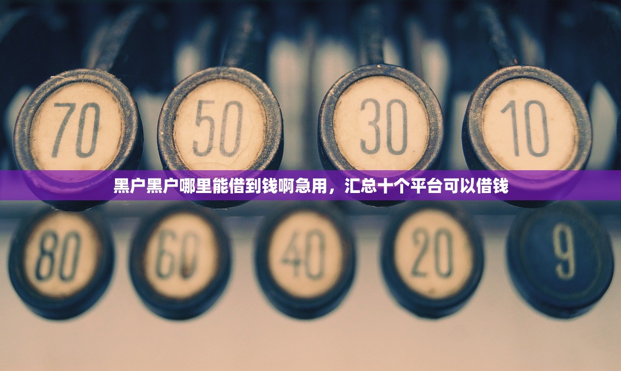 黑户黑户哪里能借到钱啊急用，汇总十个平台可以借钱