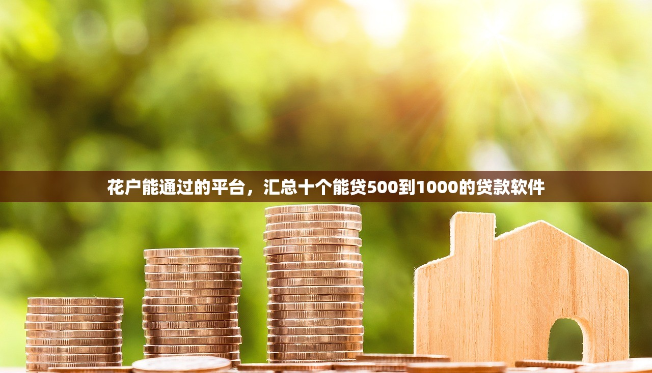 花户能通过的平台，汇总十个能贷500到1000的贷款软件