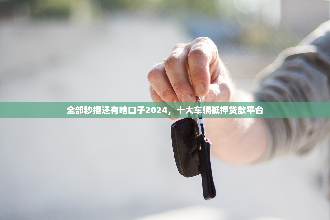 全部秒拒还有啥口子2024，十大车辆抵押贷款平台