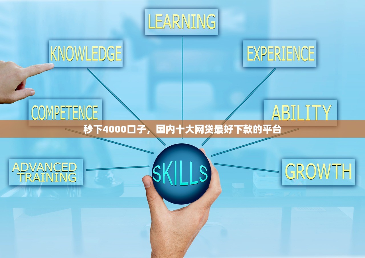 秒下4000口子，国内十大网贷最好下款的平台