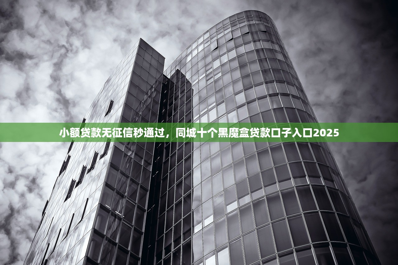 小额贷款无征信秒通过，同城十个黑魔盒贷款口子入口2025