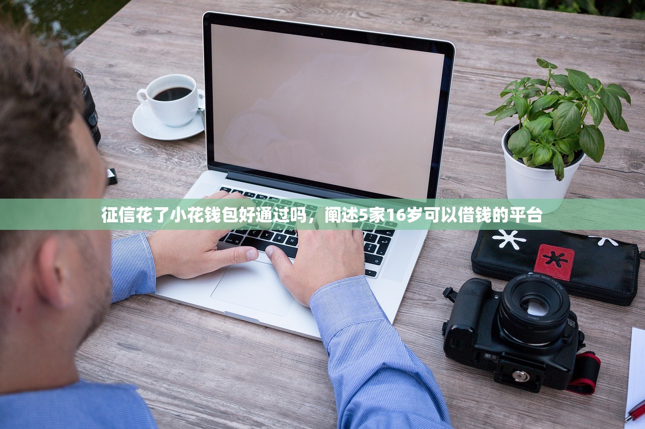 征信花了小花钱包好通过吗，阐述5家16岁可以借钱的平台