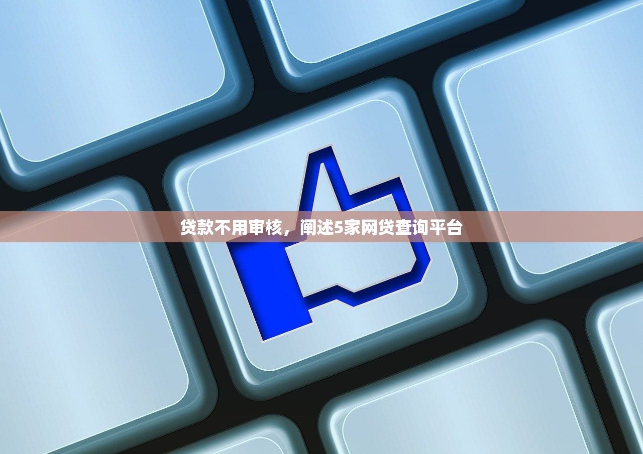 贷款不用审核，阐述5家网贷查询平台