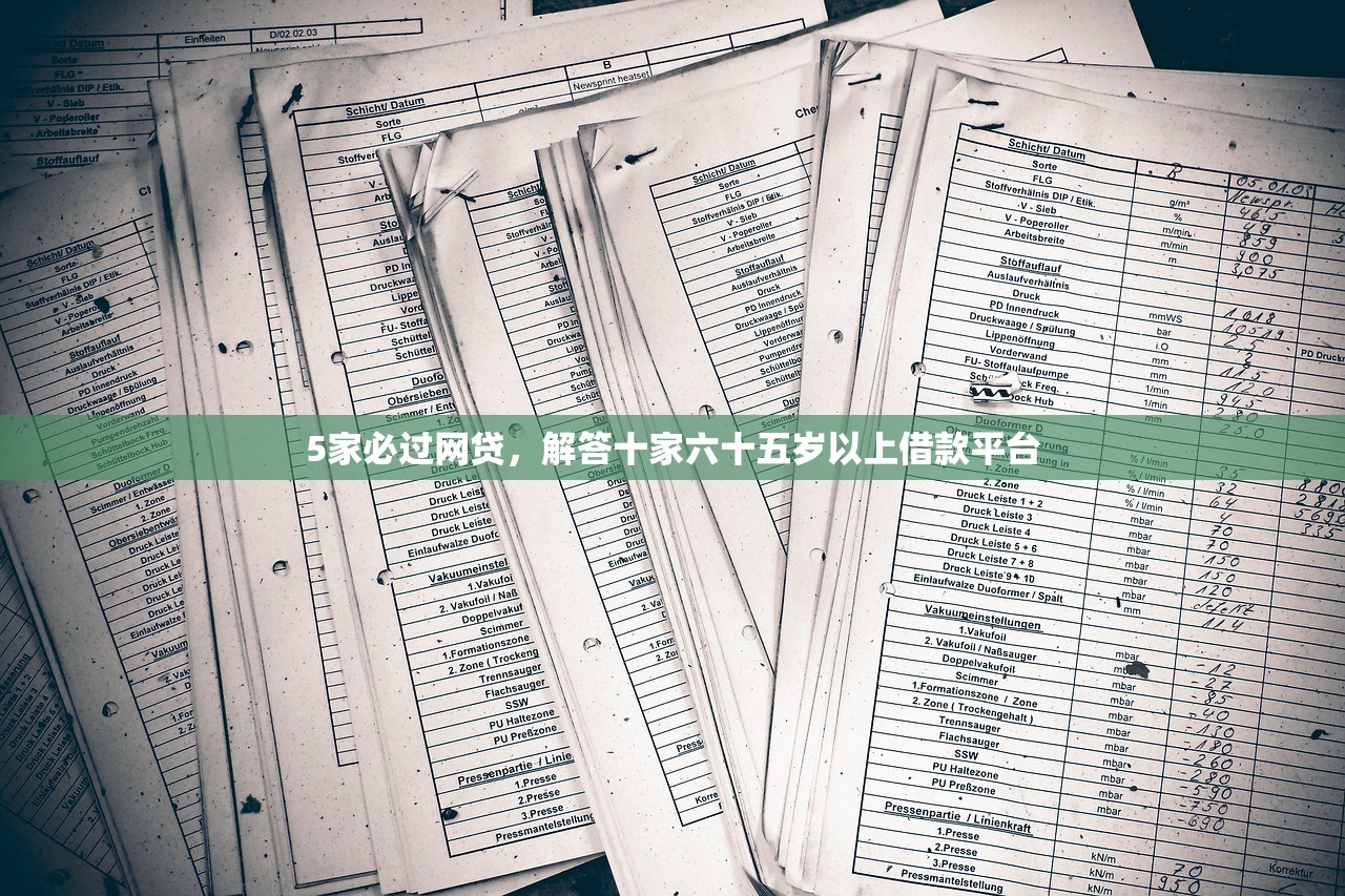 5家必过网贷，解答十家六十五岁以上借款平台