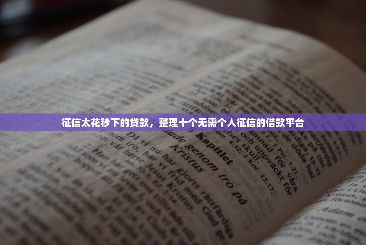 征信太花秒下的贷款，整理十个无需个人征信的借款平台