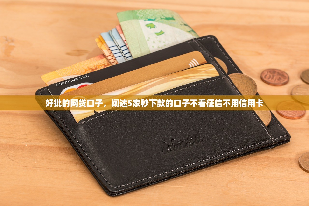好批的网贷口子，阐述5家秒下款的口子不看征信不用信用卡