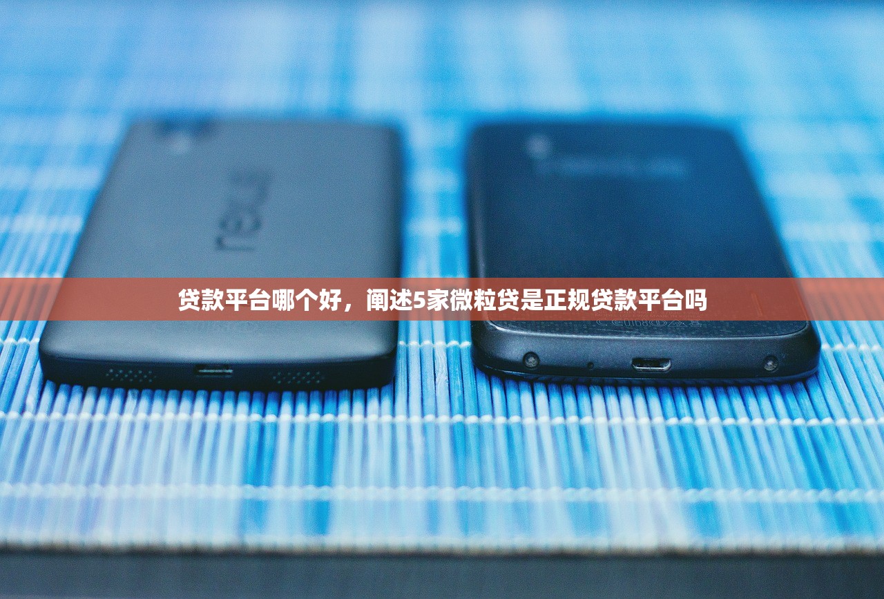 贷款平台哪个好，阐述5家微粒贷是正规贷款平台吗