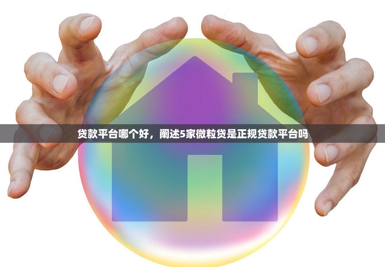 贷款平台哪个好，阐述5家微粒贷是正规贷款平台吗