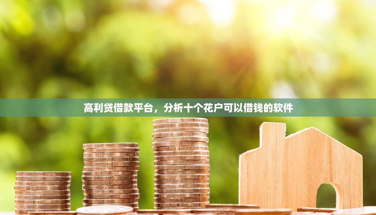 高利贷借款平台，分析十个花户可以借钱的软件