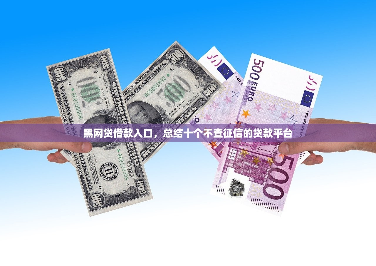 黑网贷借款入口，总结十个不查征信的贷款平台
